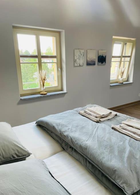Traumvilla Im Herzen Hainichens Bagian luar foto