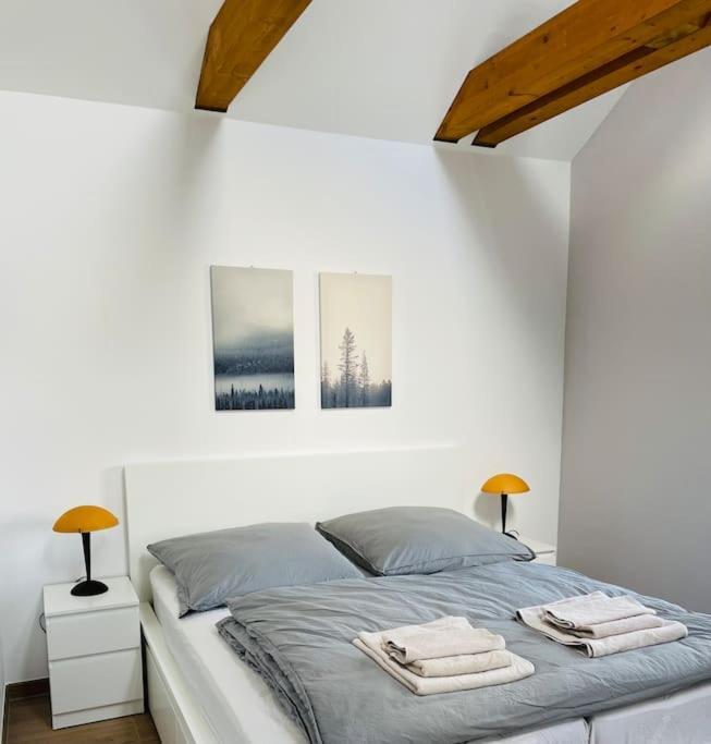 Traumvilla Im Herzen Hainichens Bagian luar foto